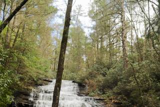 Waterfall Wedding Experts - 31