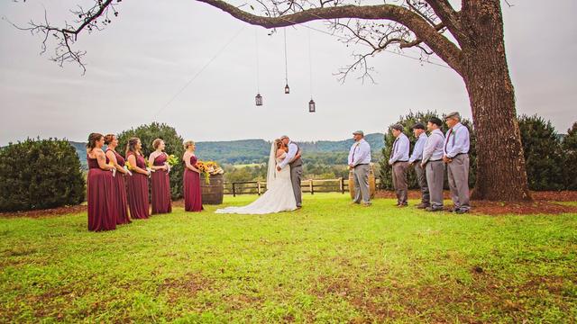 Nicole Sellers Photography - 1