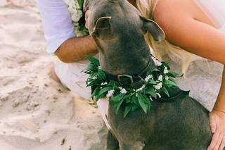 Camryn Clair Photography - 28