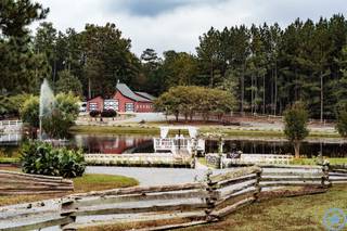 Shady Wagon Farm - 23