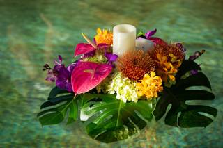 Asa Flowers - 76