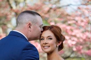 Greg Moss Photography - 24