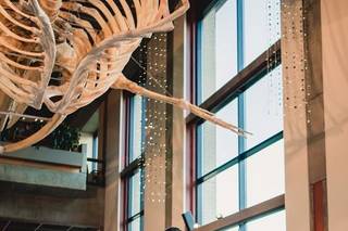 Grand Rapids Public Museum - 1