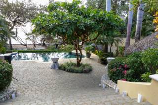 Tropical Occasions - 71