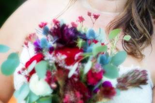 Sally Carpenter Photography - 86