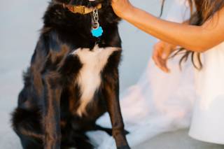 Lauran Gosney Photography - 6
