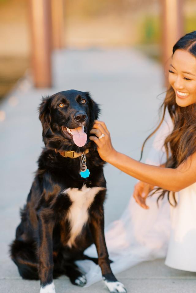 Lauran Gosney Photography - 2