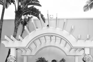Kimberly Dyer Photography - 9