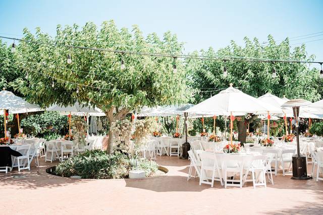 Jardines de San Juan 2