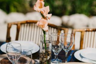 Island Life Events - 29