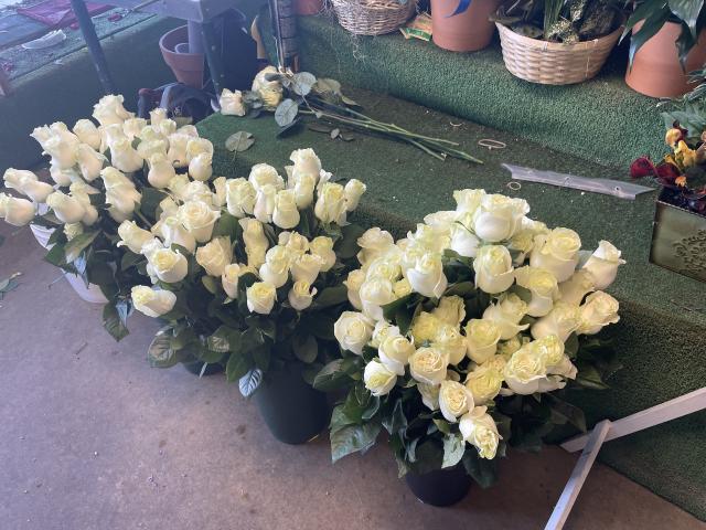 Schneiders Flowers - 1