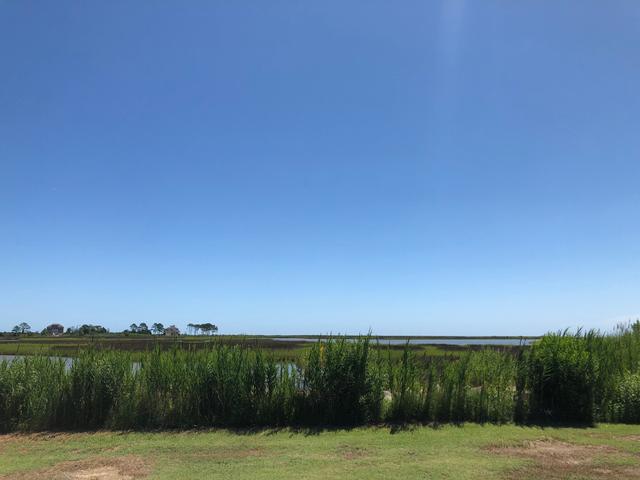 Bay Tree Manor - 1