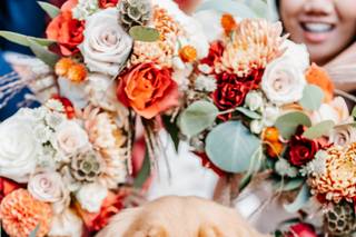 Johnson's Florist and Garden Centers - 5