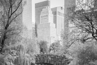 A Central Park Wedding - 57