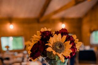 Joanna Scholle photography - 22
