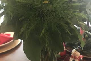 A Florist of Covington - 5