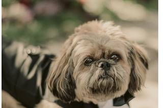 James Lester Photography - 33
