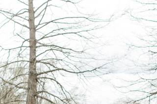 Leah Beachy Photo + Design - 29