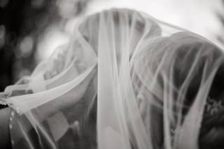 Evan Davies Photography - 14