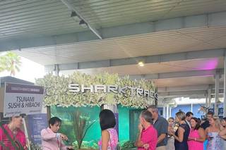 Mote Marine Laboratory & Aquarium - 35