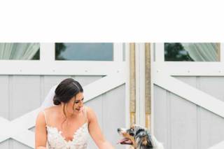 Lisa Marshall Photography - 11