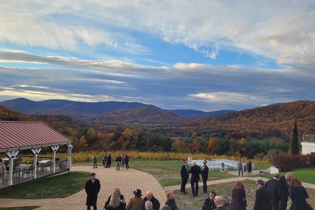 Moss Vineyards 1