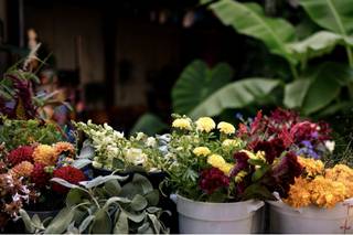 Hillen Homestead - 20