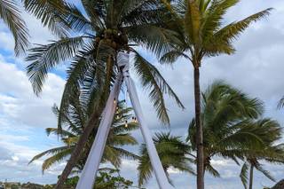 Blue Venado Beach Weddings - 64