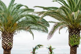 The Island Resort - 54