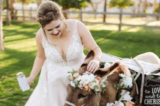 Haul N Ass Productions - 81