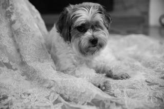 Brooke Ellen Photography - 23