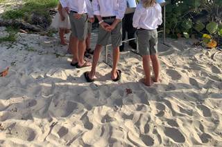 Island Bliss Weddings - 62