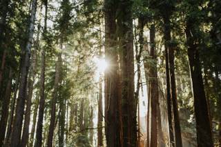 Julia Mina Photography - 10