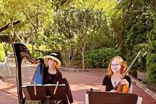 Celtic Harp Music by Anne Roos - 10