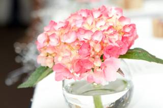 J E Wray Designs - 6
