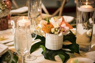 Glow Events - 116