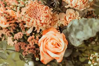 Flowers by Árvore De Luz - 19