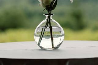Tipsy Tulip Designs, LLC - 6