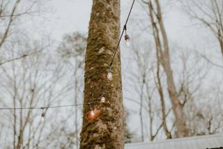 Dancing Bear Lodge & Appalachian Bistro - 24