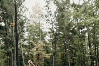 Steph Pickard Photo - 11