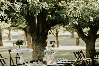 Table Twenty-Five - 8