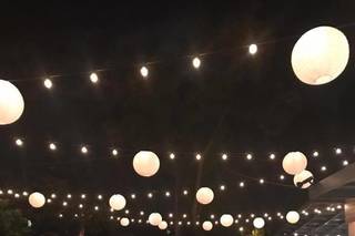Tampa Lights - 13