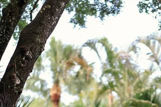 Joseph Mikos Photography - 17