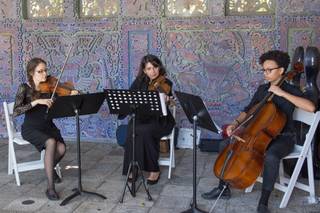 Perfect Harmony String Ensemble - 9