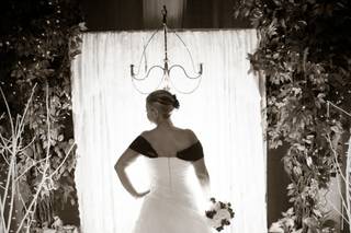 Michelle Hines Photography - 27