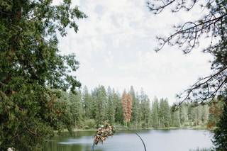 Lake and Wood - 22