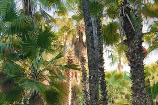 Saltwater Weddings & Events - 24