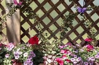 Florentina Flowers and Event Design - 24