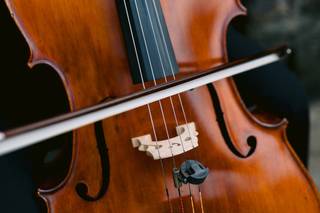 Kevin White Music - 7