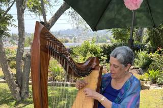 Magical Harps by Amy Lynn Kanner - 13